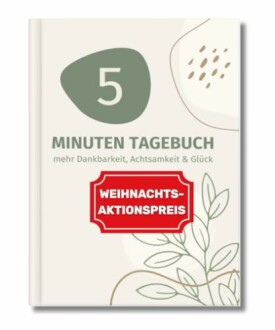 Buchumschlag des 5-Minuten-Tagebuchs mit Weihnachtsaktionspreis
