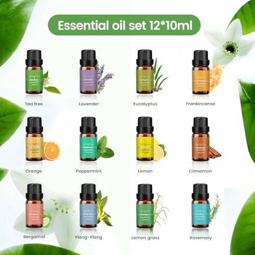 Ätherisches Öl Set mit 12 verschiedenen Düften.