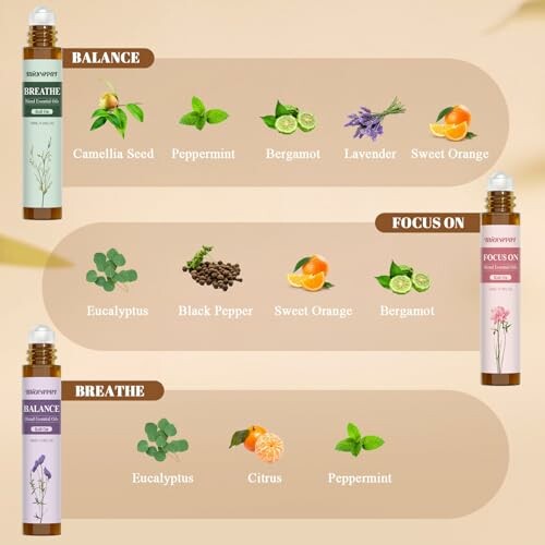 Drei ätherische Ölmischungen mit Zutaten wie Lavendel, Bergamotte und Eukalyptus