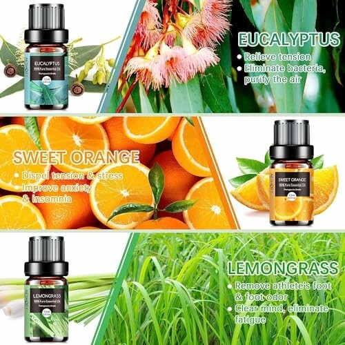 Drei ätherische Öle: Eukalyptus, süße Orange, Zitronengras mit Vorteilen.