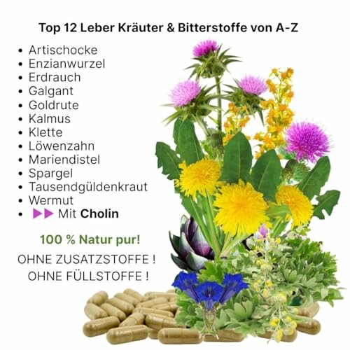Verschiedene Kräuter und Bitterstoffe zur Unterstützung der Lebergesundheit.